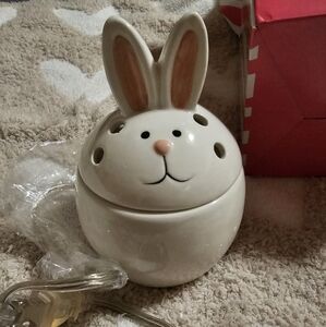 Pink Zebra Egg-static Bunny Simmer Pot
